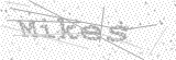 Security Picture (click to change)