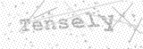 Security Picture (click to change)