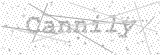 Security Picture (click to change)