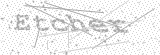 Security Picture (click to change)