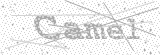Security Picture (click to change)