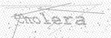 Security Picture (click to change)