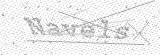 Security Picture (click to change)