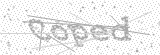 Security Picture (click to change)