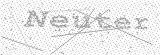 Security Picture (click to change)
