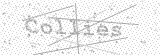 Security Picture (click to change)