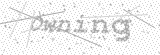 Security Picture (click to change)