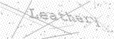 Security Picture (click to change)