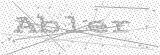 Security Picture (click to change)