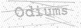 Security Picture (click to change)