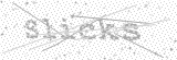 Security Picture (click to change)