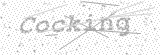 Security Picture (click to change)
