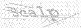 Security Picture (click to change)