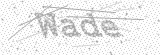 Security Picture (click to change)