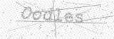 Security Picture (click to change)