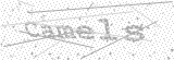 Security Picture (click to change)