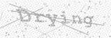 Security Picture (click to change)