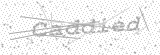 Security Picture (click to change)