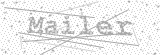 Security Picture (click to change)