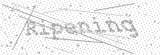 Security Picture (click to change)