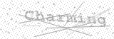 Security Picture (click to change)