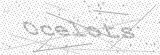 Security Picture (click to change)