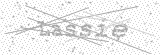 Security Picture (click to change)