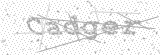 Security Picture (click to change)