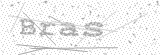 Security Picture (click to change)