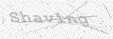 Security Picture (click to change)