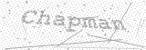 Security Picture (click to change)