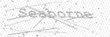 Security Picture (click to change)
