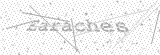 Security Picture (click to change)