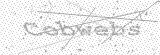 Security Picture (click to change)