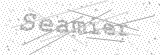 Security Picture (click to change)