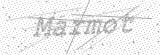 Security Picture (click to change)