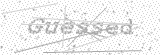 Security Picture (click to change)
