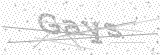 Security Picture (click to change)