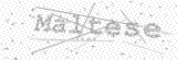 Security Picture (click to change)
