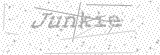 Security Picture (click to change)