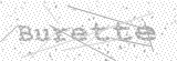 Security Picture (click to change)