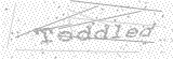 Security Picture (click to change)