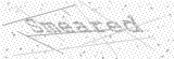 Security Picture (click to change)