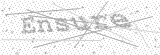Security Picture (click to change)
