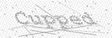 Security Picture (click to change)