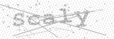 Security Picture (click to change)