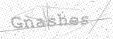 Security Picture (click to change)