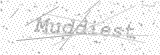 Security Picture (click to change)