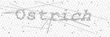 Security Picture (click to change)
