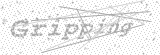 Security Picture (click to change)